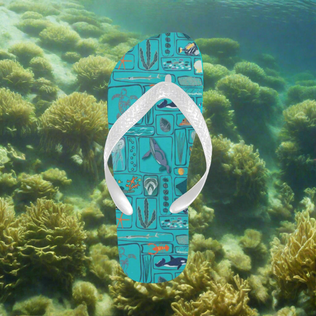 underwater view with sealife wonders design flip flop 